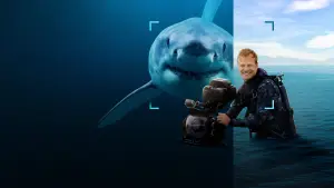 Задник до фильму"Sharks Up Close with Bertie Gregory" #792993