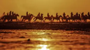 Задник до фильму"镖人：风起大漠" #760873