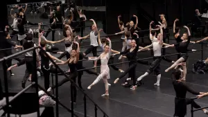 Задник до фильму"Чорний лебідь" #202215