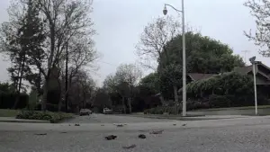 Задник до фильму"Гелловін" #610876