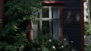 Задник до фильму"Сентиментальна цінність" #511013