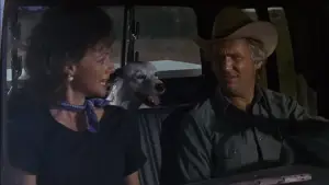 Задник до фильму"Техасвілль" #765288