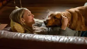 Задник до фильму"Очима собаки" #716548