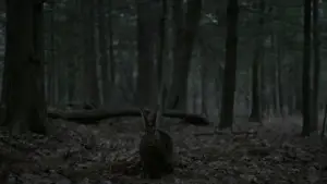 Задник до фильму"Відьма" #600297