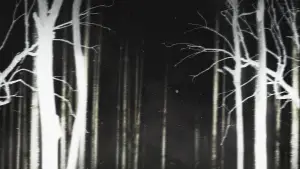 Задник до фильму"" #522799