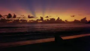 Задник до фильму"" #740606