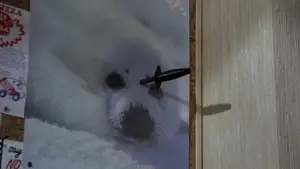 Задник до фильму"Рибка на ім