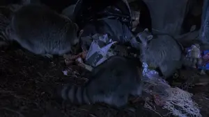 Задник до фильму"Добре на природі" #287469