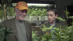 Задник до фильму"Межі" #460830