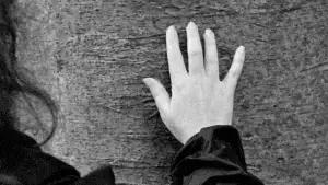 Задник до фильму"Un chant aveugle" #795080