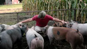 Задник до фильму"" #476242