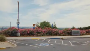 Задник до фильму"Zodiac Killer Project" #780235