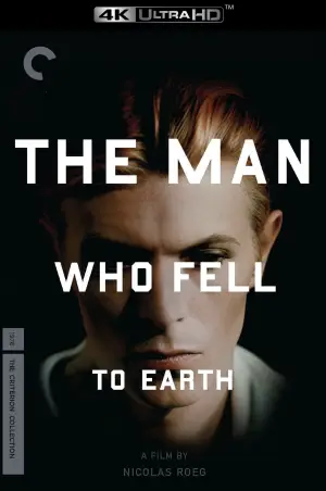 Постер до фильму"Людина, яка впала на Землю" #765191