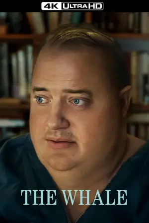 Постер до фильму"Кит" #23753