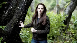 Задник до фильму"Сутінки. Сага: Новий місяць" #519808