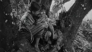 Задник до фильму"Пісня дороги" #751195