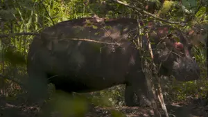 Задник до фильму"" #368588