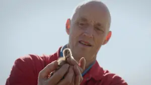 Задник до фильму"" #312199