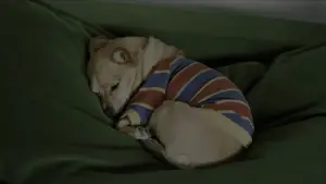 Задник до фильму"Зустрінь мене у світлі надії" #783490