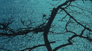 Задник до фильму"Offret" #755216