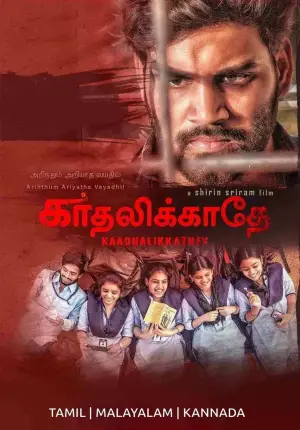 Постер до фильму"Don