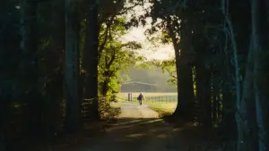 Задник до фильму"Залізний кіготь" #695270