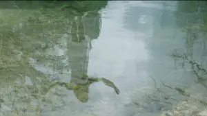 Задник до фильму"Άπειρη Γη" #780814