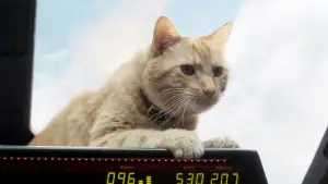 Задник до фильму"Капітан Марвел" #573674