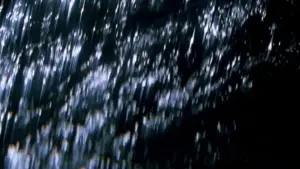 Задник до фильму"Змішані контейнери" #706792