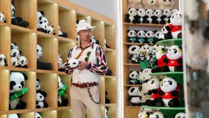 Задник до фильму"Панда патруль" #572754