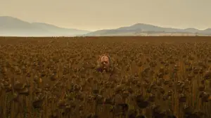 Задник до фильму"Техаська різанина бензопилою" #694258