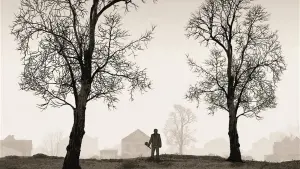 Задник до фильму"Тиранозавр" #230408