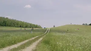 Задник до фильму"Сонцестояння" #588997