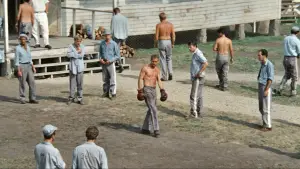 Задник до фильму"Холоднокровний Люк" #754839