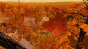 Задник до фильму"Будинок-монстр" #701319