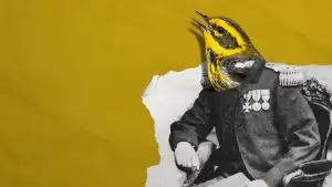 Задник до фильму"Bird Names" #794273