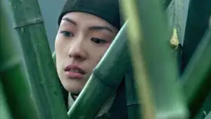 Задник до фильму"Будинок літаючих кинджалів" #809643