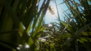 Задник до фильму"Адаптація." #671068