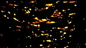 Задник до фильму"" #575886