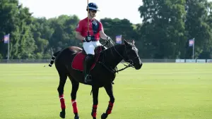 Задник до фильму"Червоний, білий та королівський синій" #178948