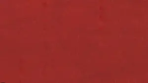 Задник до фильму"Дикі серцем" #245070