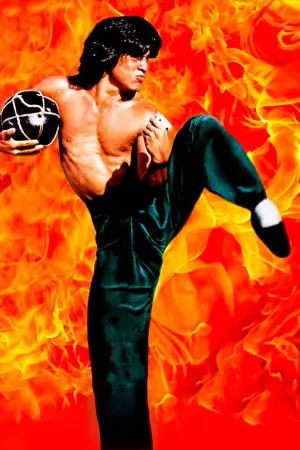 Постер до фильму"П’яний майстер" #715929