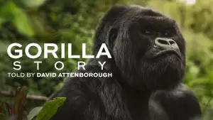Задник до фильму"A Gorilla Story: Told by David Attenborough" #832783
