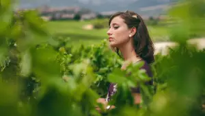 Задник до фильму"Секрет Ювеліра / Секрет золотаря / Пам