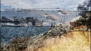 Задник до фильму"occupation studies: ngayanhurra bayarral Birrarung" #773179