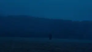 Задник до фильму"Зла не існує" #756356