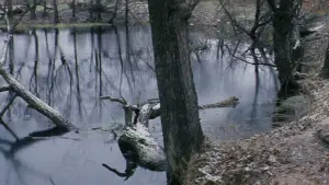 Задник до фильму"Соляріс" #731571