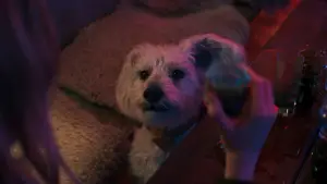 Задник до фильму"Суперґьорл" #605179