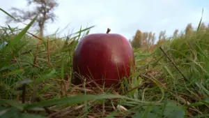 Задник до фильму"" #566944