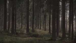 Задник до фильму"" #543910